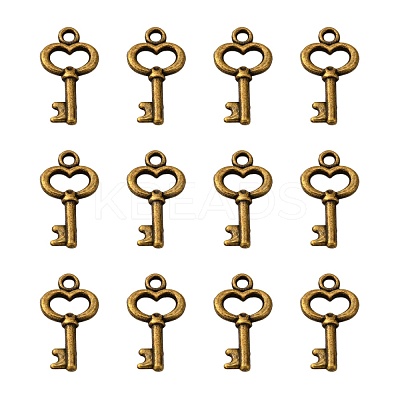 Tibetan Style Alloy Pendants X-MLF11975Y-NF-1