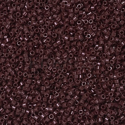 MIYUKI Delica Beads SEED-X0054-DB1134-1