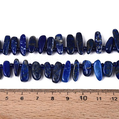 Natural Lapis Lazuli Beads Strands G-Z091-A23-1