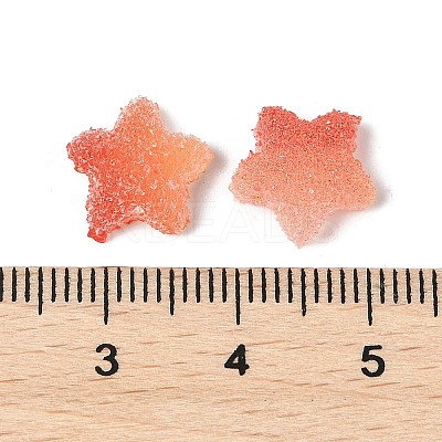 Imitation Candy Food Style Resin Cabochons X1-RESI-R461-02B-1
