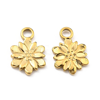 304 Stainless Steel Charm LS-STAS-R124-03G-1