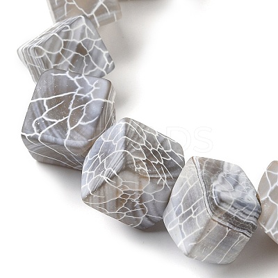 Natural Weathered Agate Beads Strands G-Q169-C04-01A-1