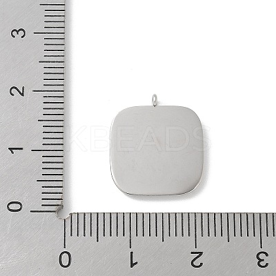 304 Stainless Steel Rhinestone Pendants STAS-Z122-55P-1