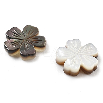 Natural Black Shell Carved Beads SSHEL-Z002-02B-1