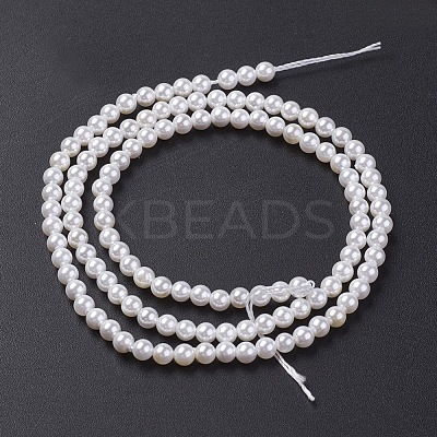 Shell Pearl Bead Strands BSHE-P023-5mm-1
