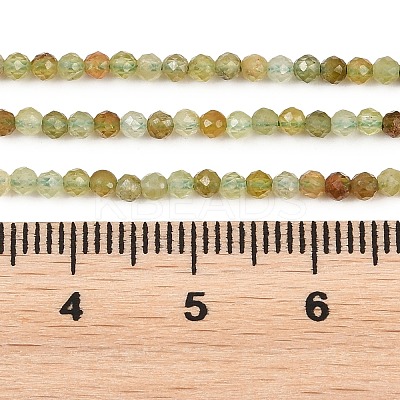 Natural Green Garnet Beads Strands G-B181-A01-2mm-1