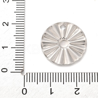 304 Stainless Steel Pendants STAS-F349-05P-03-1