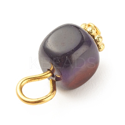 Natural Agate Pendants PALLOY-JF01586-05-1