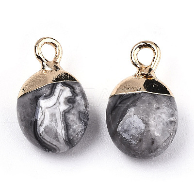 Natural Map Stone/Picasso Stone/Picasso Jasper Charms X-G-N326-58B-1