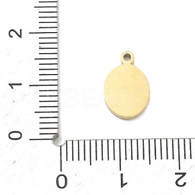 304 Stainless Steel Charms SA-CBA2714-01C-G-1