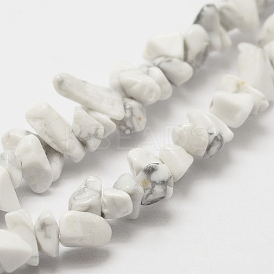 Natural Howlite Beads Strand LS-G-F328-05-1
