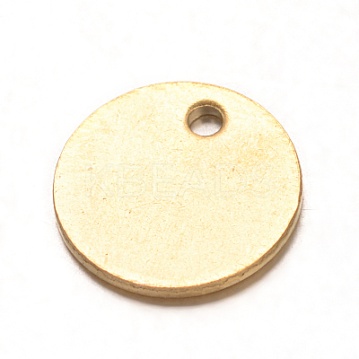 Ion Plating(IP) 304 Stainless Steel Charms STAS-G130-16G-1