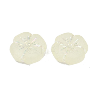 Frosted Transparent Acrylic Beads OACR-P029-19B-03-1