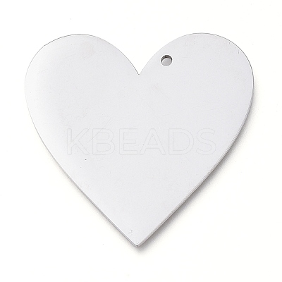 Tarnish Resistant 304 Stainless Steel Pendants STAS-L238-098A-P-1
