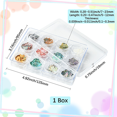 12 Colors Shell Chips Nail Art Decorations Accessories DIY-WH20002-669-1