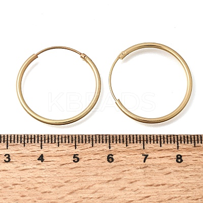 Brass Hoop Earrings EJEW-G474-01G-04-1