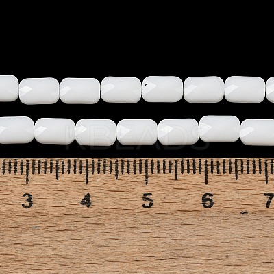 Opaque Glass Beads Strands GLAA-Z018-D17-1