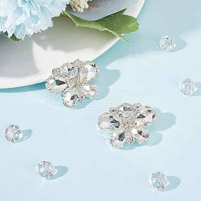 2Pcs Alloy Rhinestone Wedding Shoe Decorations FIND-FG0002-48D-1