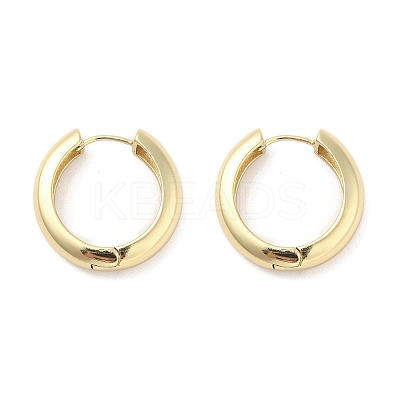 Brass Hoop Earrings EJEW-M260-08G-1