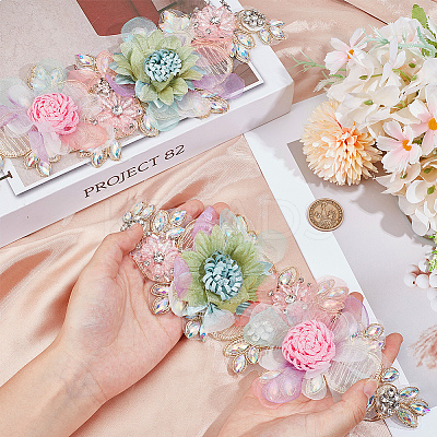 Polyester with Rhinestone Clothing Patches DIY-WH20010-31-1