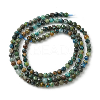 Natural Chrysocolla Beads Strands G-Z034-A03-02-1