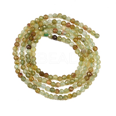Natural Green Garnet Beads Strands G-B181-A01-2mm-1