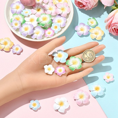 60Pcs 2 Styles Plumeria Flower Opaque Resin Cabochons CRES-YW0002-60-1