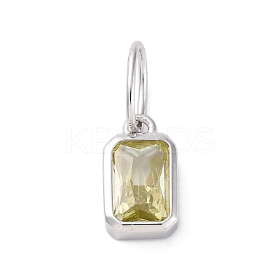 925 Sterling Silver Cubic Zirconia Charms STER-NH0014-01P-08-1