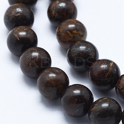 Natural Bronzite Bead Strands G-P370-05-8mm-1