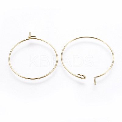 316 Surgical Stainless Steel Hoop Earring Findings STAS-P221-01B-G-1