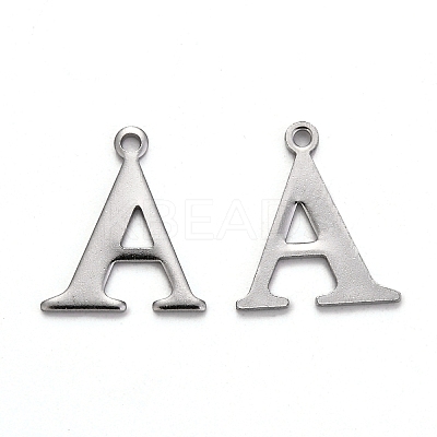 Tarnish Resistant 304 Stainless Steel Charms STAS-H122-A-P-1