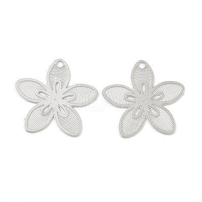 304 Stainless Steel Charms STAS-C153-05P-1