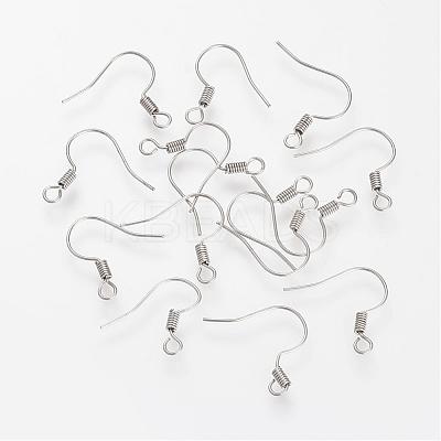 Tarnish Resistant 304 Stainless Steel Earring Hooks STAS-S066-10-1