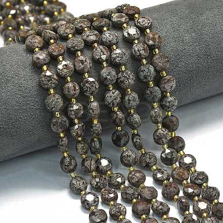 Natural Red Snowflake Obsidian Beads Strands G-C116-A11-02-1