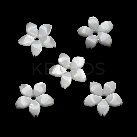 Natural White Shell Beads SH-CBA93AD-08-1