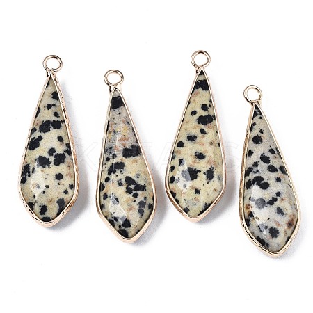 Natural Dalmatian Jasper Pendants G-S359-319C-1
