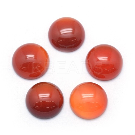 Natural Carnelian Cabochons G-P393-R18-14mm-1