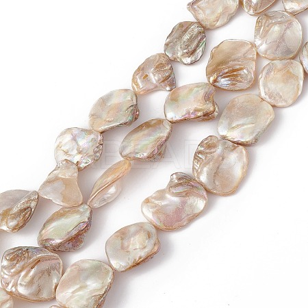AB Color Plated Natural Freshwater Shell Beads Strands X-BSHE-G033-03B-1