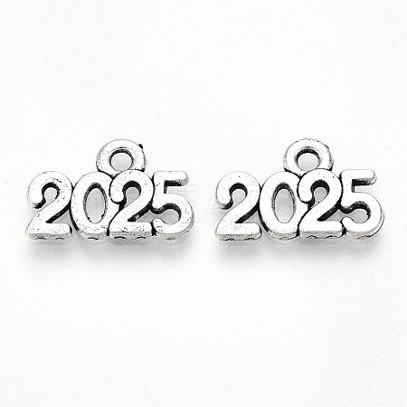 Tibetan Style Alloy Charms TIBE-N012-11AS-NF-1