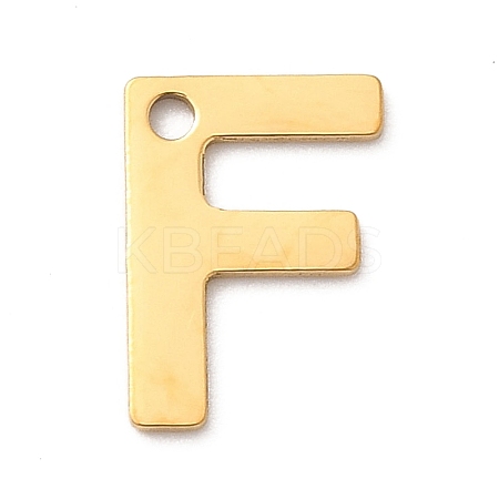 304 Stainless Steel Charms LS-STAS-B093-12G-F-1