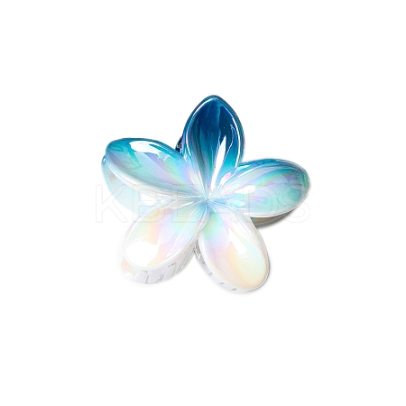 Resin Claw Hair Clips PW-WG93676-01-1