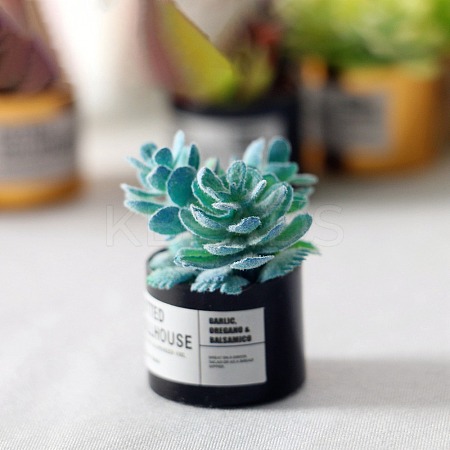 Resin Succulents Pot Model WG57627-04-1