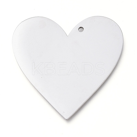 Tarnish Resistant 304 Stainless Steel Pendants STAS-L238-098A-P-1