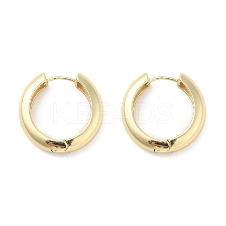 Brass Hoop Earrings EJEW-M260-08G-1