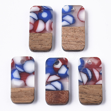 Two-tone Transparent Resin & Walnut Wood Pendants X-RESI-S384-008A-B08-1