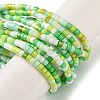 Handmade Lampwork Beads Strands LAMP-L078-008-2