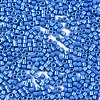 FGB 11/0 Grade A Baking Paint Glass Seed Beads SEED-S030-1042-2