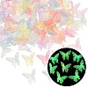 Luminous Transparent Acrylic Beads MACR-L015-12-1