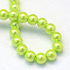 Baking Painted Pearlized Glass Pearl Round Bead Strands X-HY-Q330-8mm-66-4