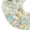 Natural Flower Amazonite Chips Beads Strands X-G-M205-12B-7
